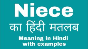 Niece Meaning in Hindi – Niece का हिन्दी में क्या मतलब है?