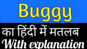 Buggu meaning in hindi | buggu मतलब क्या होता है ?