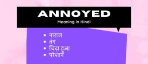 ANNOYED Meaning in Hindi – ANNOYED का हिन्दी में क्या मतलब है?