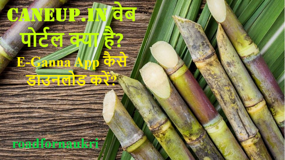 caneup.in वेब पोर्टल क्या है? E-Ganna App कैसे डाउनलोड करें?