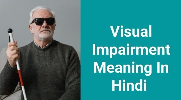 Visual Impairment meaning in Hindi