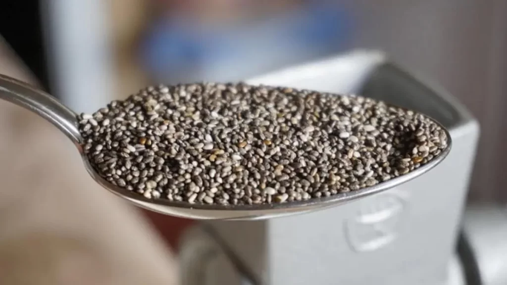 चिया सीड्स क्या है ? – फ़ायदे और नुकसान | Chia Seeds In Hindi