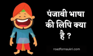 पंजाबी भाषा की लिपि क्या हैं ?