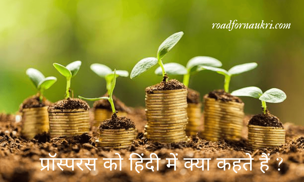 प्रॉस्परस को हिंदी में क्या कहते हैं ? ( Prosperous Meaning In Hindi )