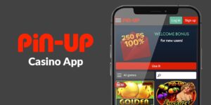 Pin Up Casino- money game