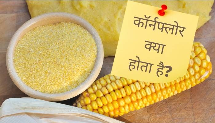 Corn Flour का मतलब क्या होता है ? | Corn Flour Meaning In Hindi