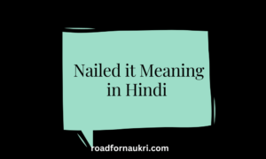 Nailed it Meaning in Hindi – Nailed it का हिन्दी में क्या मतलब है ?