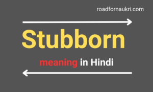 Stubborn को हिंदी में क्या कहते है?(Stubborn meaning)