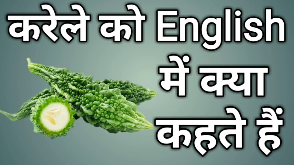 करेले को इंग्लिश में क्या कहते हैं? (karela ko english mein kya kahate hain)