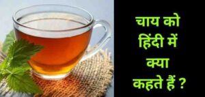 Chai Ko Hindi Mein Kya Kahate Hain | चाय को हिंदी में क्या कहते हैं ?